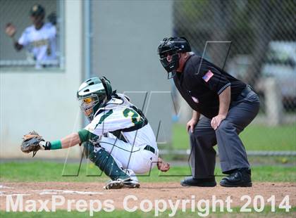 Thumbnail 3 in Sheehan @ Hamden photogallery.