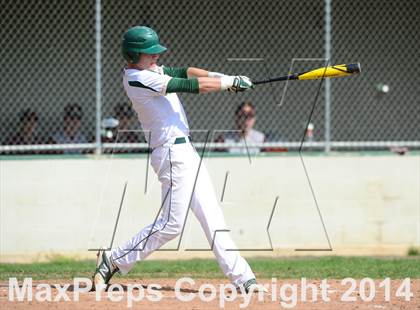 Thumbnail 2 in Sheehan @ Hamden photogallery.
