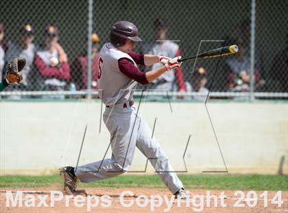 Thumbnail 1 in Sheehan @ Hamden photogallery.