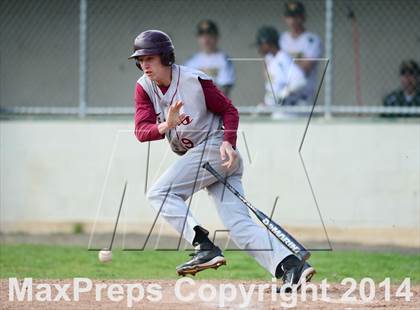 Thumbnail 3 in Sheehan @ Hamden photogallery.