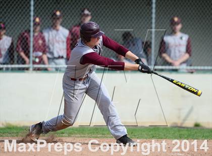 Thumbnail 2 in Sheehan @ Hamden photogallery.