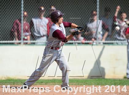Thumbnail 3 in Sheehan @ Hamden photogallery.