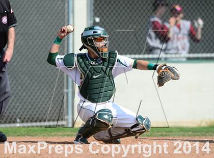 Thumbnail 3 in Sheehan @ Hamden photogallery.