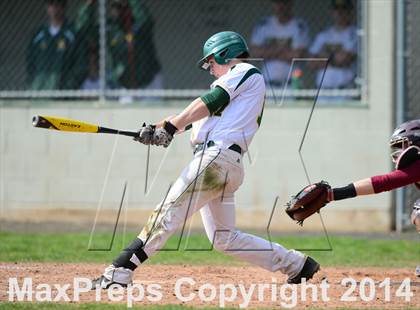 Thumbnail 3 in Sheehan @ Hamden photogallery.