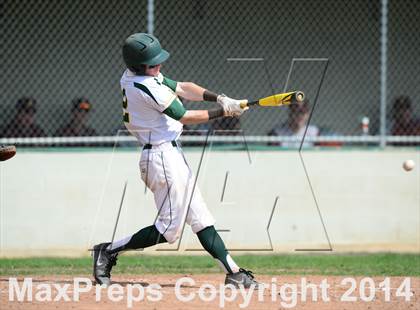 Thumbnail 3 in Sheehan @ Hamden photogallery.