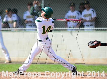 Thumbnail 1 in Sheehan @ Hamden photogallery.