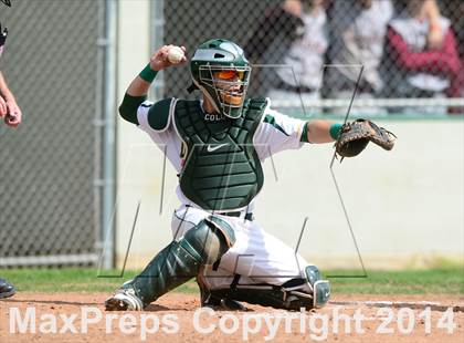 Thumbnail 3 in Sheehan @ Hamden photogallery.