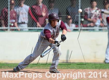 Thumbnail 1 in Sheehan @ Hamden photogallery.