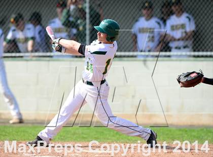 Thumbnail 3 in Sheehan @ Hamden photogallery.