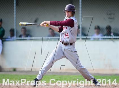 Thumbnail 1 in Sheehan @ Hamden photogallery.