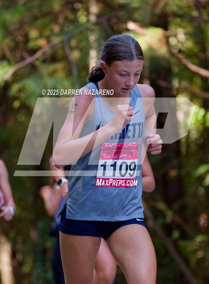 Thumbnail 3 in Great American Festival photogallery.