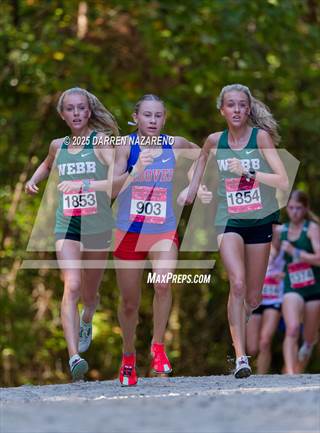 Great American Festival