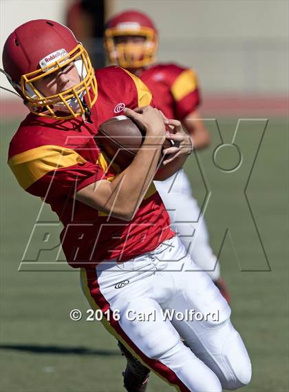 Thumbnail 3 in Shadow Hills @ Hemet photogallery.