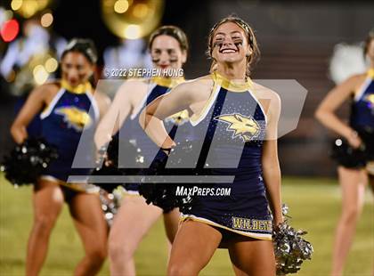 Thumbnail 2 in Neuqua Valley photogallery.