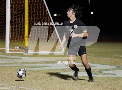 Thumbnail 1 in Casteel @ Basha photogallery.