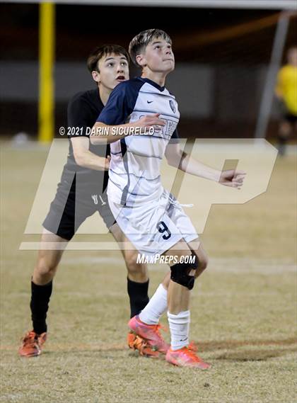 Thumbnail 1 in Casteel @ Basha photogallery.