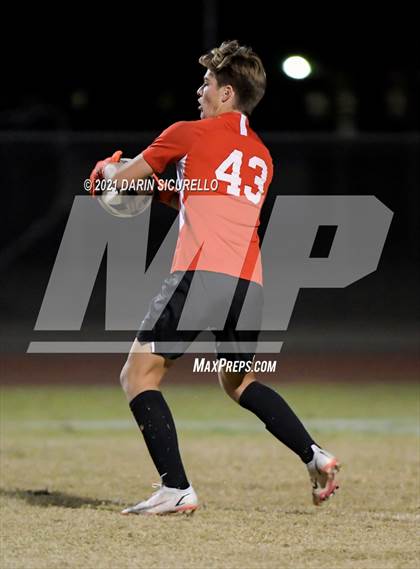 Thumbnail 1 in Casteel @ Basha photogallery.