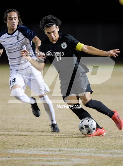 Thumbnail 3 in Casteel @ Basha photogallery.