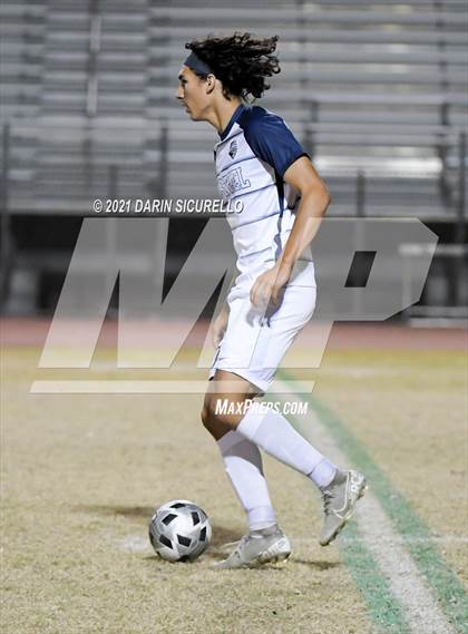 Thumbnail 1 in Casteel @ Basha photogallery.