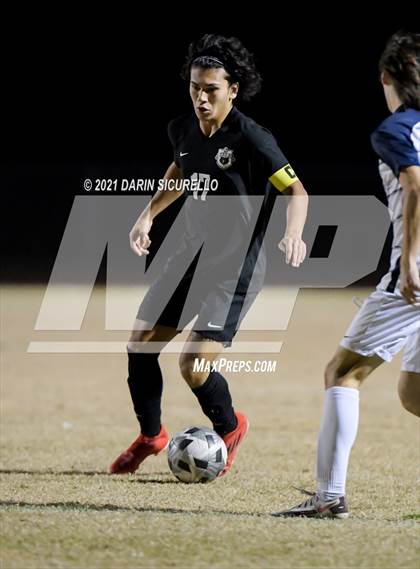 Thumbnail 2 in Casteel @ Basha photogallery.