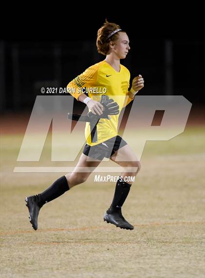 Thumbnail 2 in Casteel @ Basha photogallery.