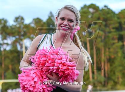 Thumbnail 3 in Westside @ Fleming Island photogallery.