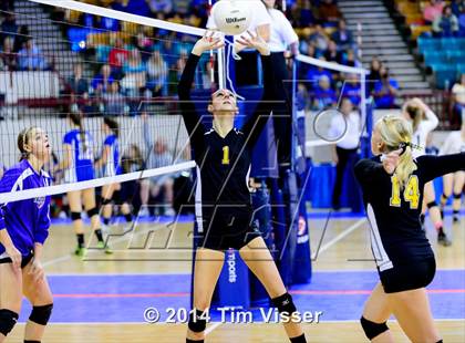 Thumbnail 2 in Cheraw vs. Prairie (CHSAA 1A Playoff) photogallery.