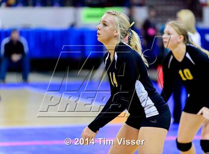 Thumbnail 2 in Cheraw vs. Prairie (CHSAA 1A Playoff) photogallery.