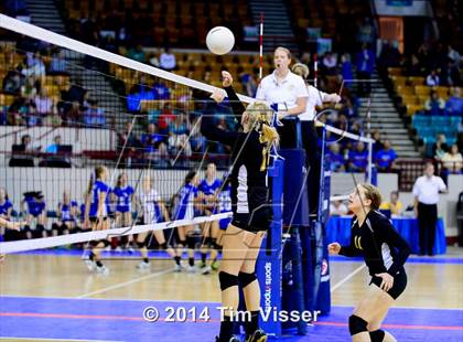 Thumbnail 1 in Cheraw vs. Prairie (CHSAA 1A Playoff) photogallery.