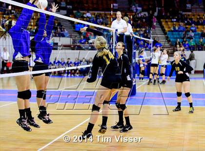 Thumbnail 1 in Cheraw vs. Prairie (CHSAA 1A Playoff) photogallery.