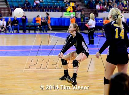 Thumbnail 1 in Cheraw vs. Prairie (CHSAA 1A Playoff) photogallery.