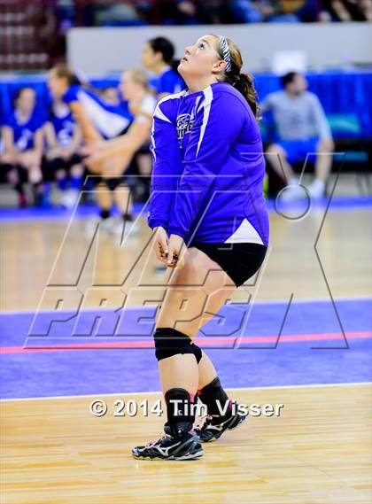 Thumbnail 2 in Cheraw vs. Prairie (CHSAA 1A Playoff) photogallery.