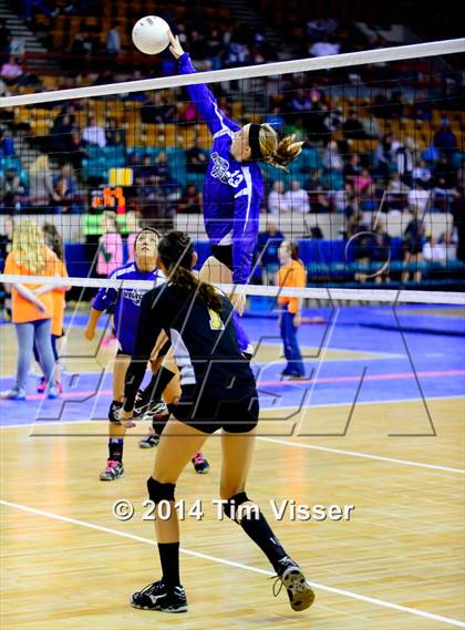 Thumbnail 2 in Cheraw vs. Prairie (CHSAA 1A Playoff) photogallery.
