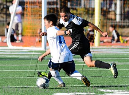 Thumbnail 2 in Florin @ Burbank photogallery.