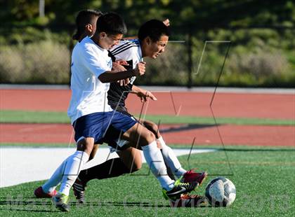 Thumbnail 2 in Florin @ Burbank photogallery.