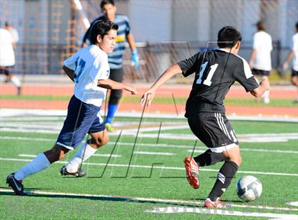 Thumbnail 1 in Florin @ Burbank photogallery.