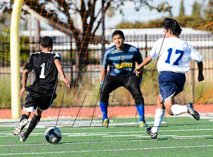 Thumbnail 2 in Florin @ Burbank photogallery.