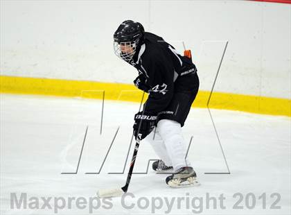 Thumbnail 2 in Somers/North Salem @ Carmel photogallery.
