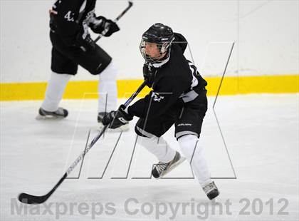 Thumbnail 3 in Somers/North Salem @ Carmel photogallery.