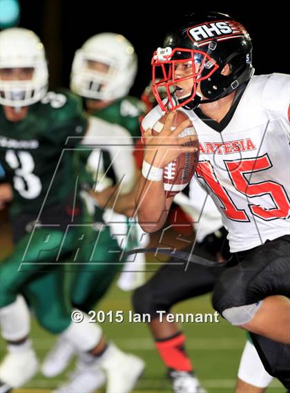 Thumbnail 2 in Artesia @ Pioneer photogallery.