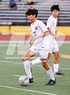 Photo from the gallery "Carlmont @ Mountain View"