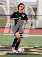 Photo from the gallery "Carlmont @ Mountain View"