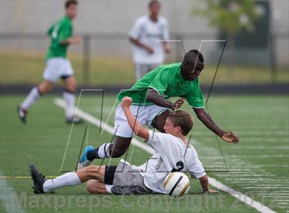 Thumbnail 3 in Myers Park at Hough photogallery.