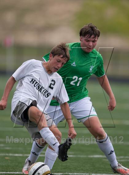 Thumbnail 3 in Myers Park at Hough photogallery.