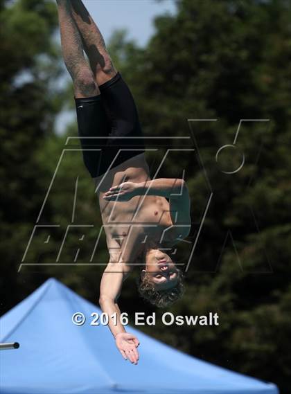 Thumbnail 3 in CIF NCS Boys Diving Championships photogallery.