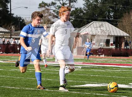 Thumbnail 1 in Vandebilt Catholic @ E. D. White photogallery.