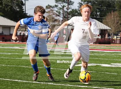 Thumbnail 2 in Vandebilt Catholic @ E. D. White photogallery.