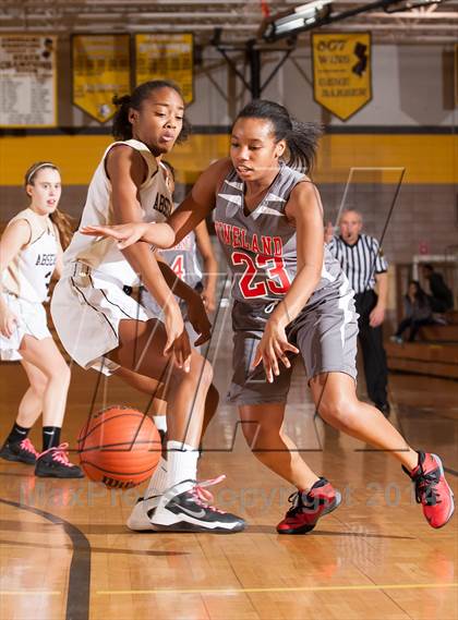 Thumbnail 3 in Vineland @ Absegami photogallery.