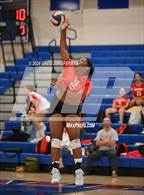 Photo from the gallery "University @ Tamalpais"