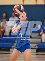 Photo from the gallery "University @ Tamalpais"